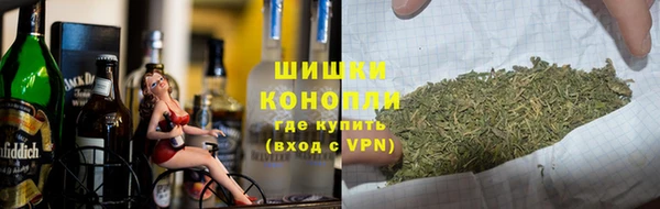 ПСИЛОЦИБИНОВЫЕ ГРИБЫ Щёлкино