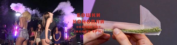 ПСИЛОЦИБИНОВЫЕ ГРИБЫ Щёлкино