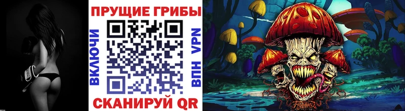 Псилоцибиновые грибы мицелий  Купить  Никольское 